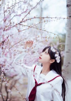 叛狱无间在线观看_1080P高清在线